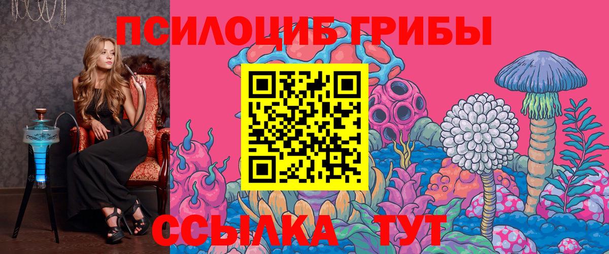 Галлюциногенные грибы прущие грибы  Вход с VPN  Галлюциногенные грибы мухоморы  Вятские Поляны 