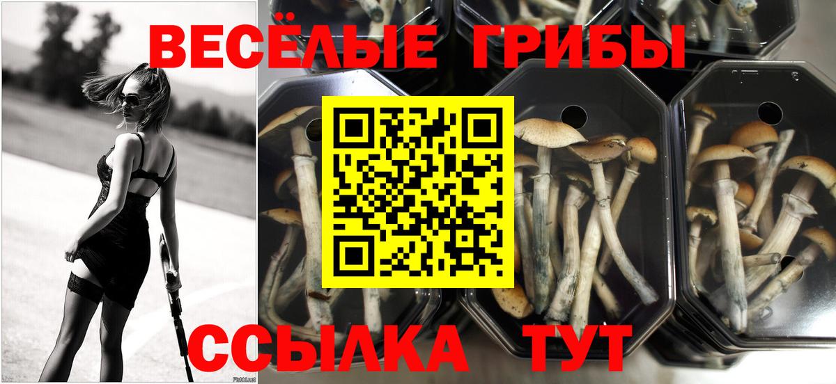 Галлюциногенные грибы ЛСД Вятские Поляны
